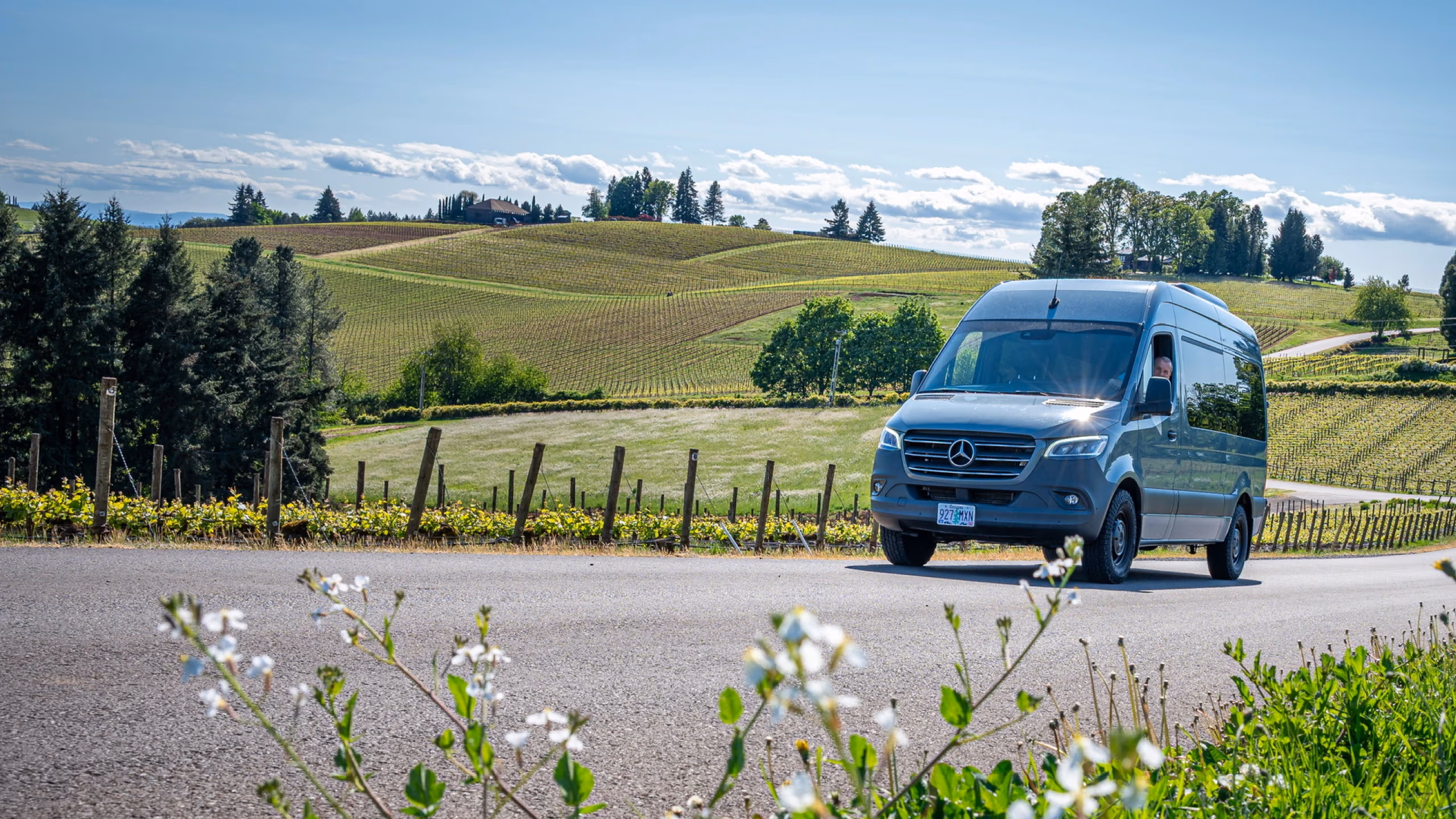 Scenic vineyard views on a KEF Van wine tour