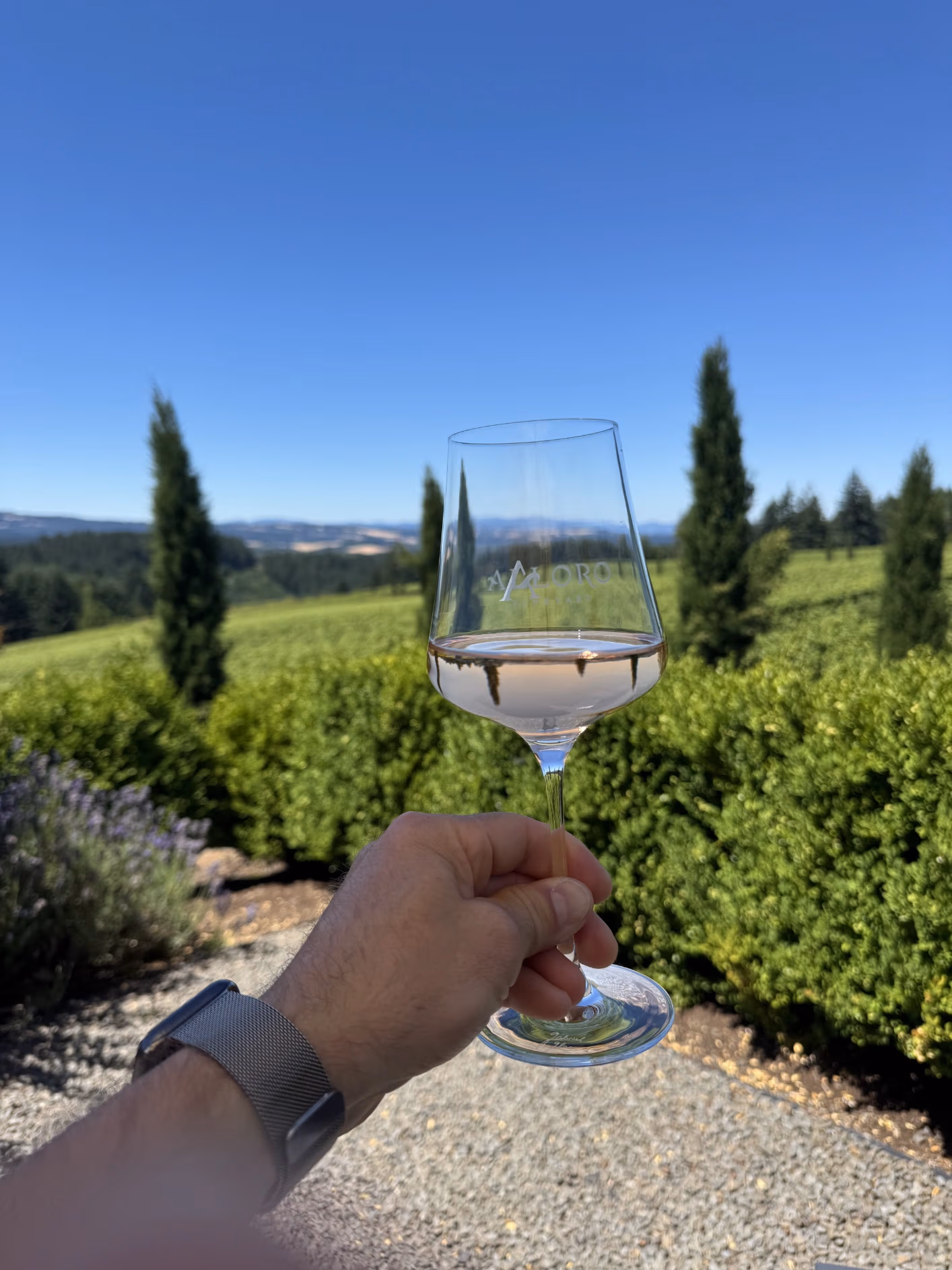 KEF Van winery tour experience